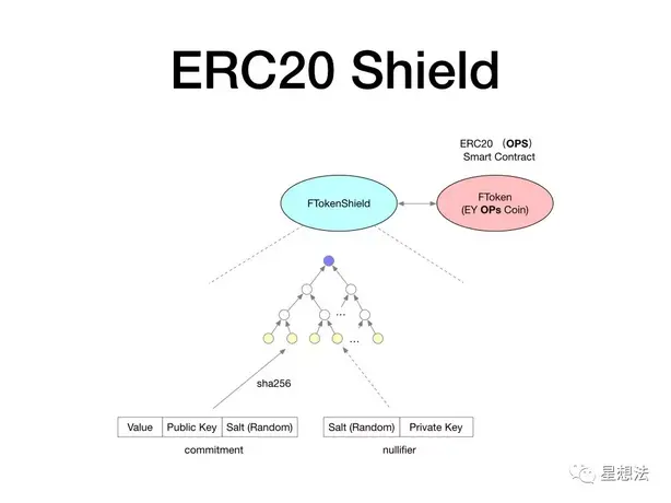 ERC20 Shield 