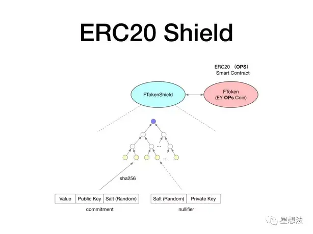 ERC20 Shield