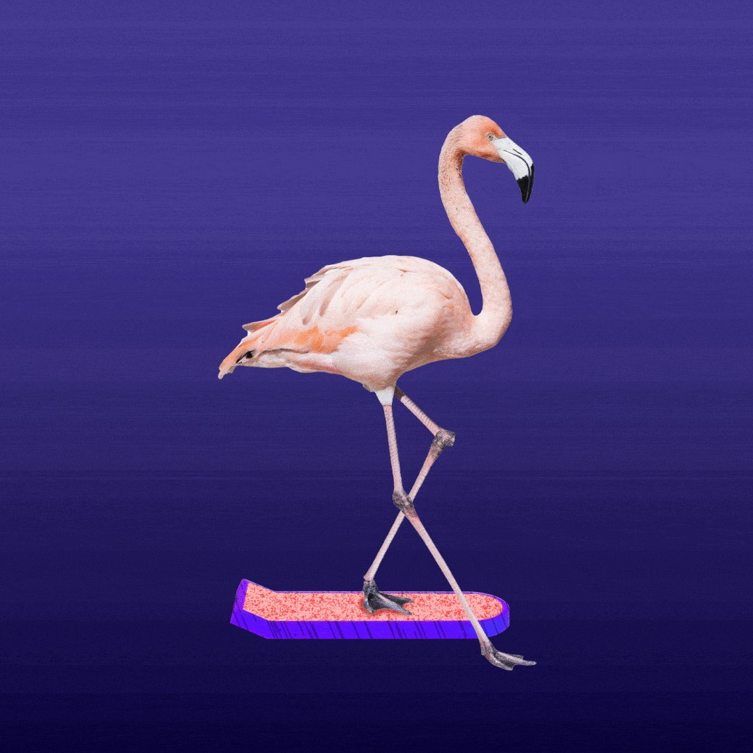 Flamingo:一个NFT的集合体插图1