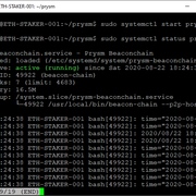 以太坊2.0测试网质押(Ubuntu/Pyrmont/Prysm)插图11
