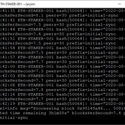 以太坊2.0测试网质押(Ubuntu/Pyrmont/Prysm)插图11