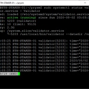以太坊2.0测试网质押(Ubuntu/Pyrmont/Prysm)插图27