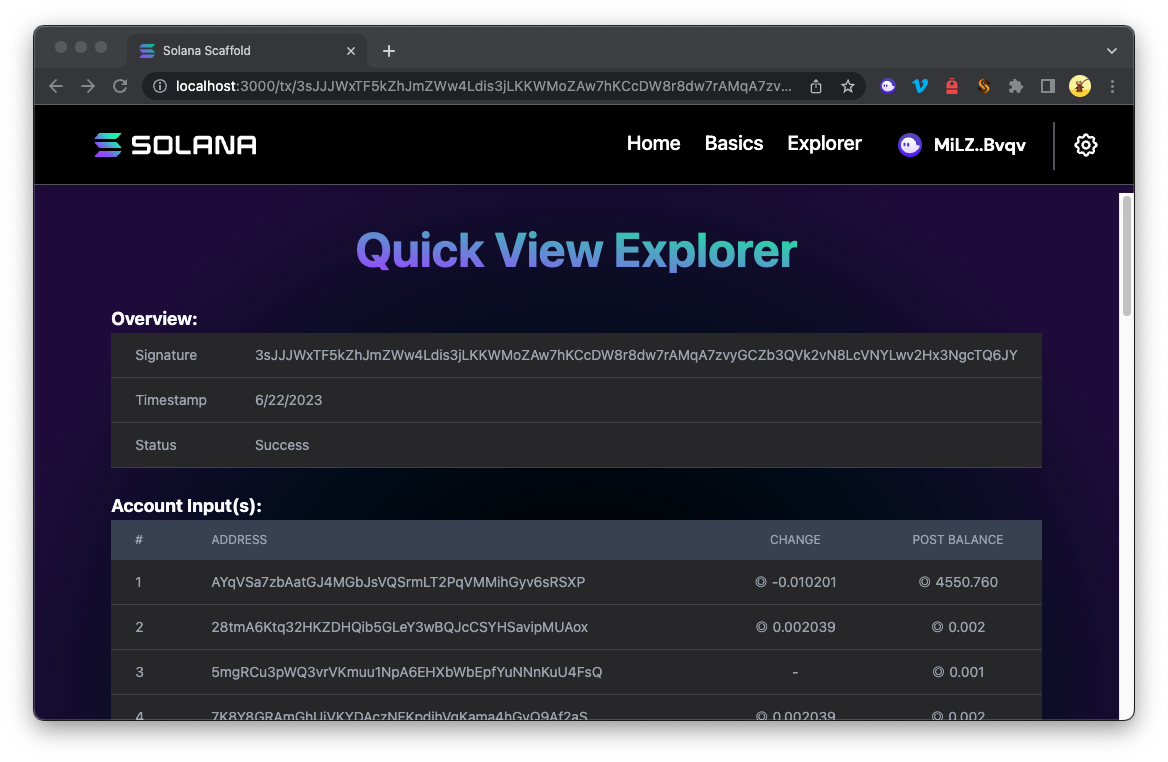 Explorer 交易详细信息示例输出