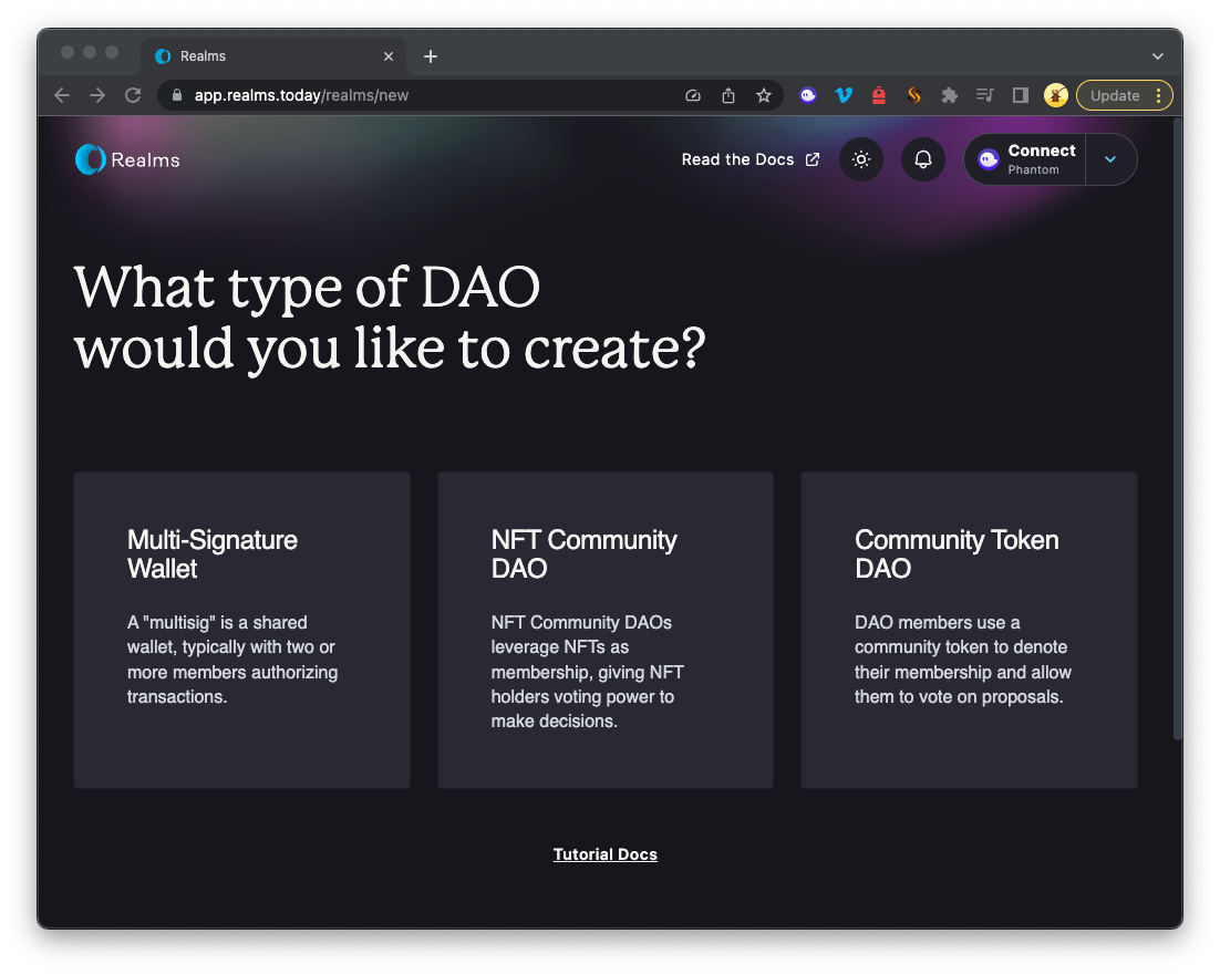 Realms DAO 类型