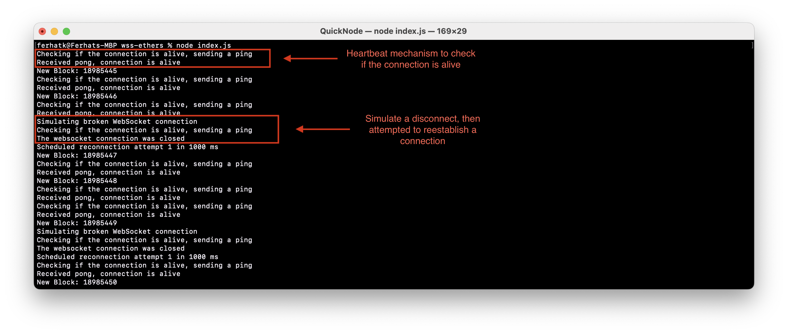 WebSocket 输出