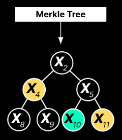 Merkle树