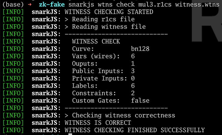 snarkjs witness check