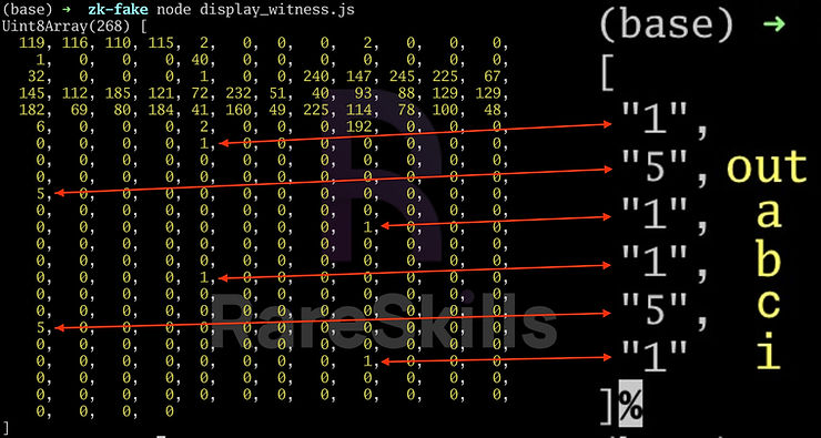 witness binary values displayed