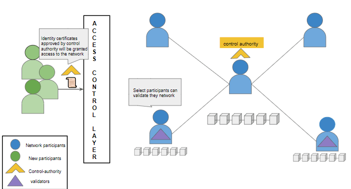 在 permissioned blockchain 中，参与被限制在仅被授权的实体。