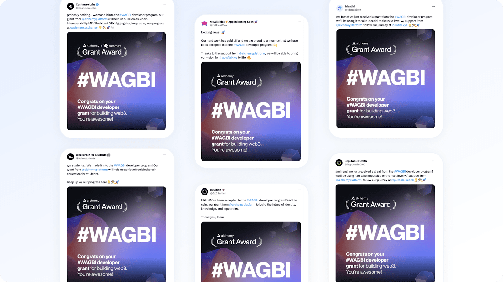 WAGBI 开发者赠款