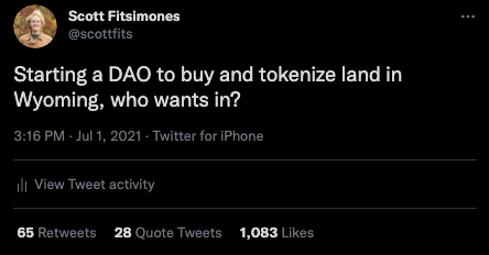 一条推文革命了房地产，每次1000块地。版权：CityDAO