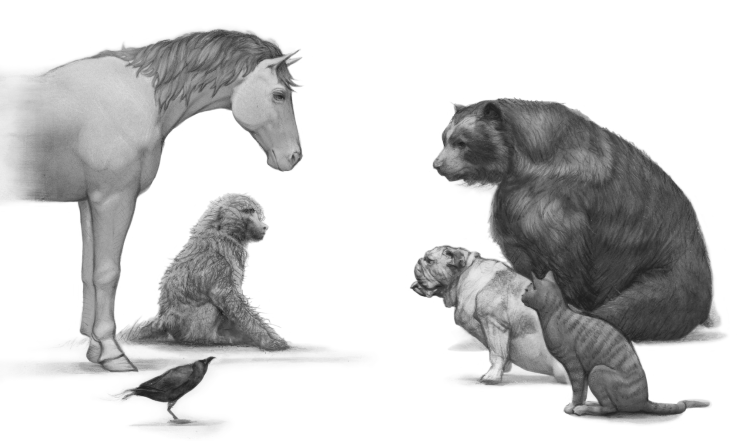 图片来源于 Nick McDonell 的 The Council of Animals