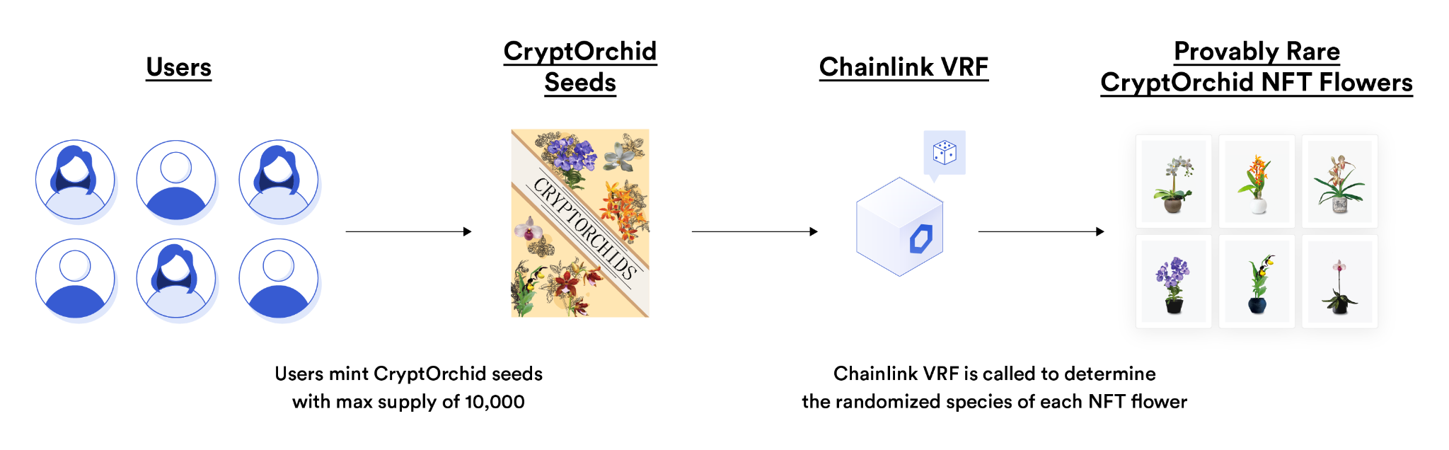 CryptOrchid 使用 Chainlink VRF 来铸造可证明稀有的 NFT