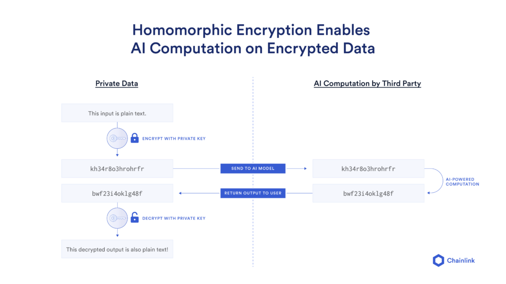 图表显示了同态加密如何使使用 AI 算法计算加密数据成为可能。
