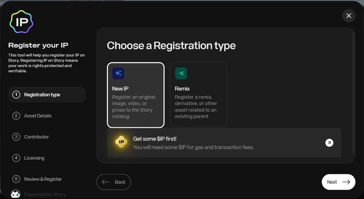 来源：IP 门户