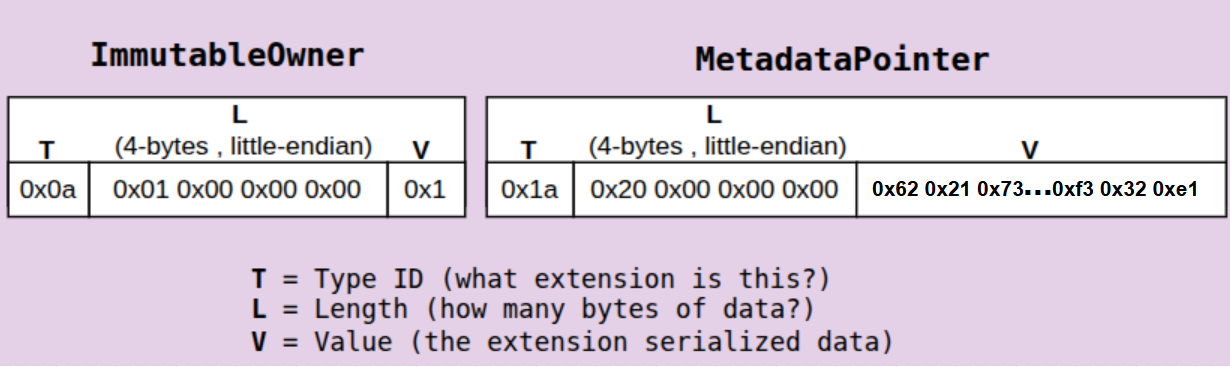 Token-2022 TLV 布局，展示了端到端布局的 ImmutableOwner 和 MetadataPointer