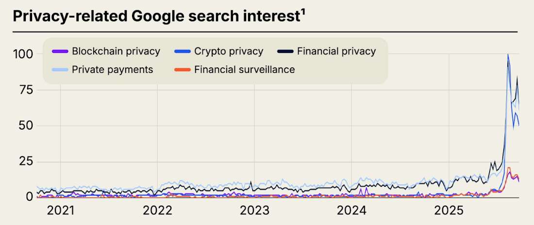 Google search for privacy