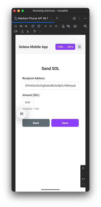 带有接收者和金额字段的发送 SOL 表单