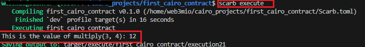 scarb exercute command in the termal execution and print result