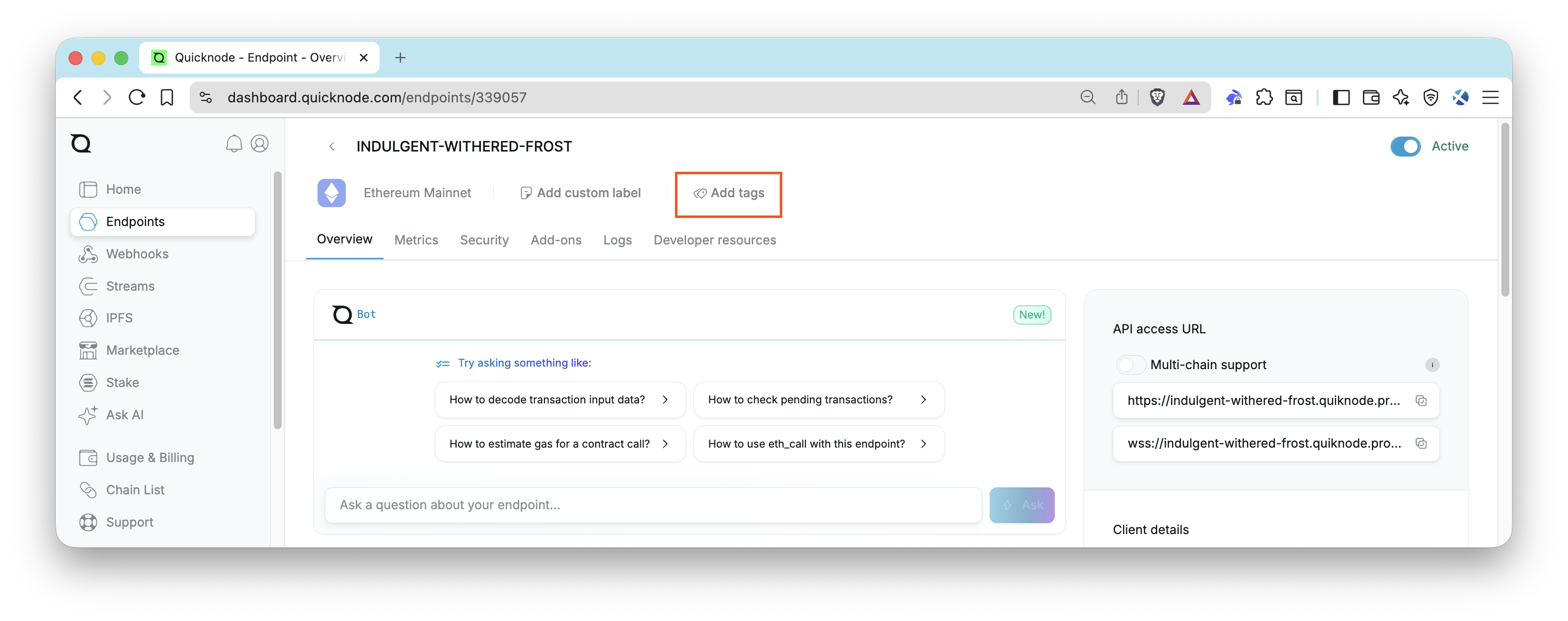 Quicknode 仪表板 - 添加标签