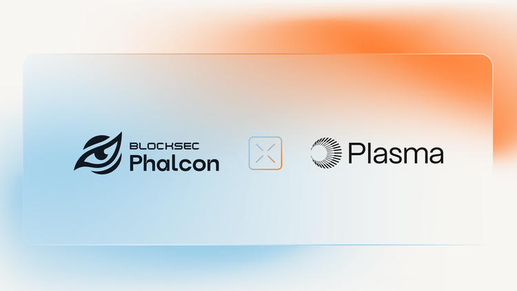 使用 Phalcon Explorer 追踪 Plasma 上的稳定币支付
