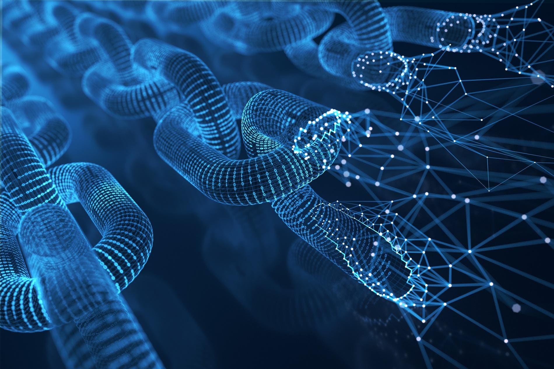 Blockchain formed by binaries and network