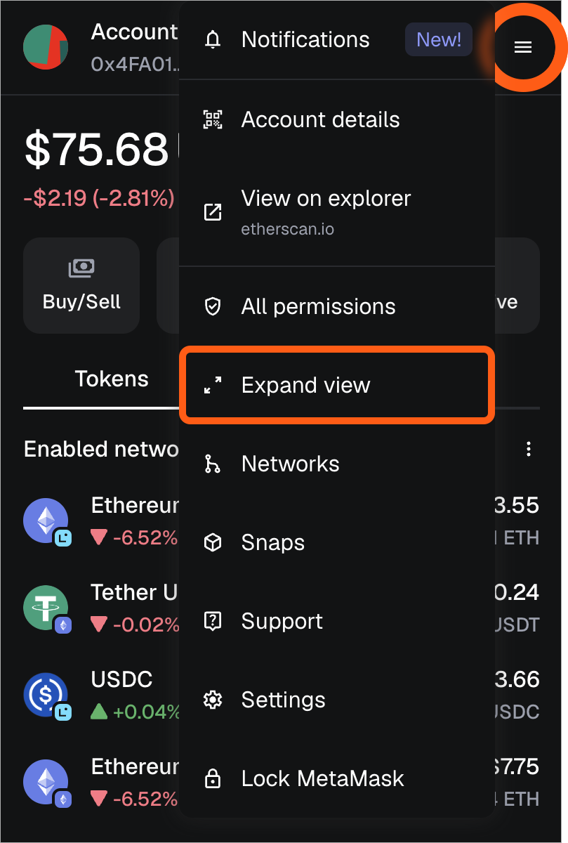 MetaMask 扩展程序定位展开视图菜单