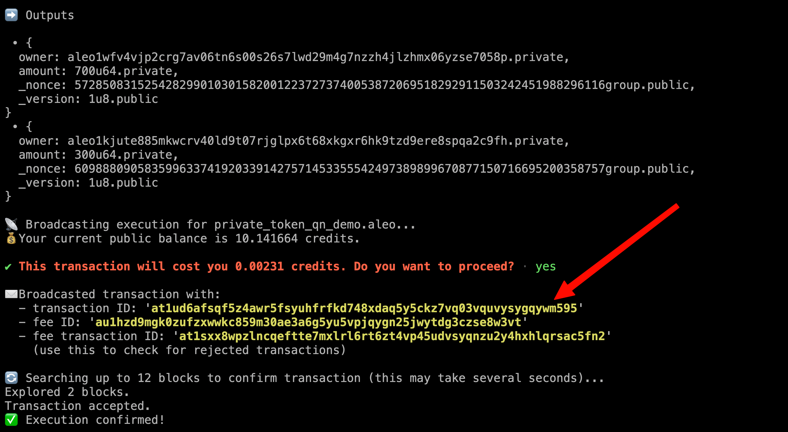 显示两个输出记录和交易 ID 的 CLI 输出