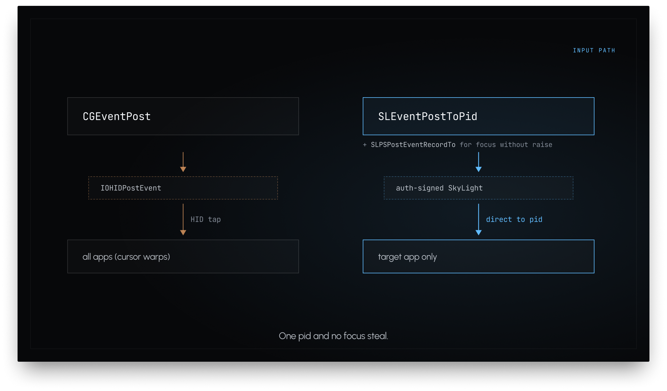 SkyLight 位于 AppKit 和 HID 事件流之间——SLEventPostToPid 绕过 IOHIDPostEvent 直接到达特定 pid,而不移动共享光标