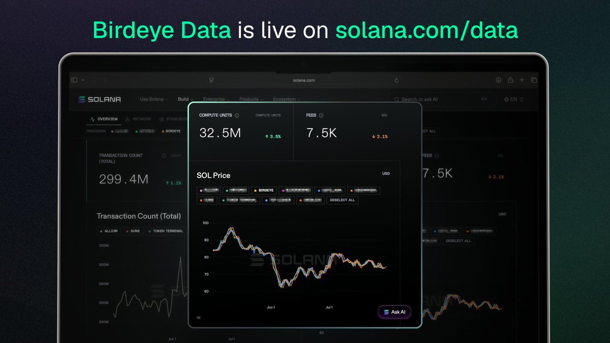Birdeye Data