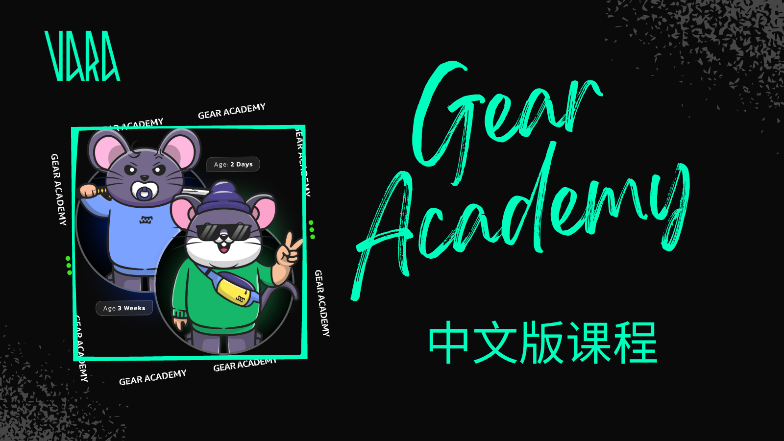 Gear Academy：学习如何成为构建去中心化应用程序的专家