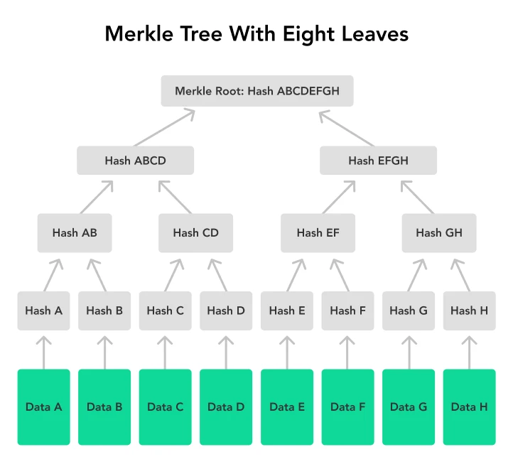 Merkle tree with eight leaves