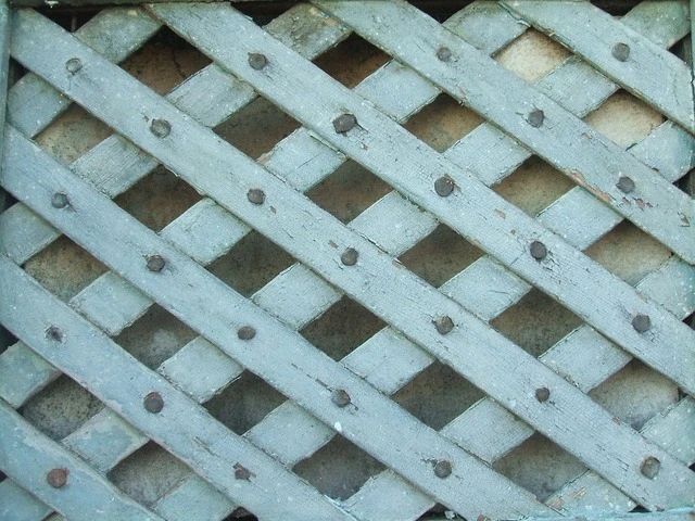 89556496d80677c677b968072dbf6580.jpg