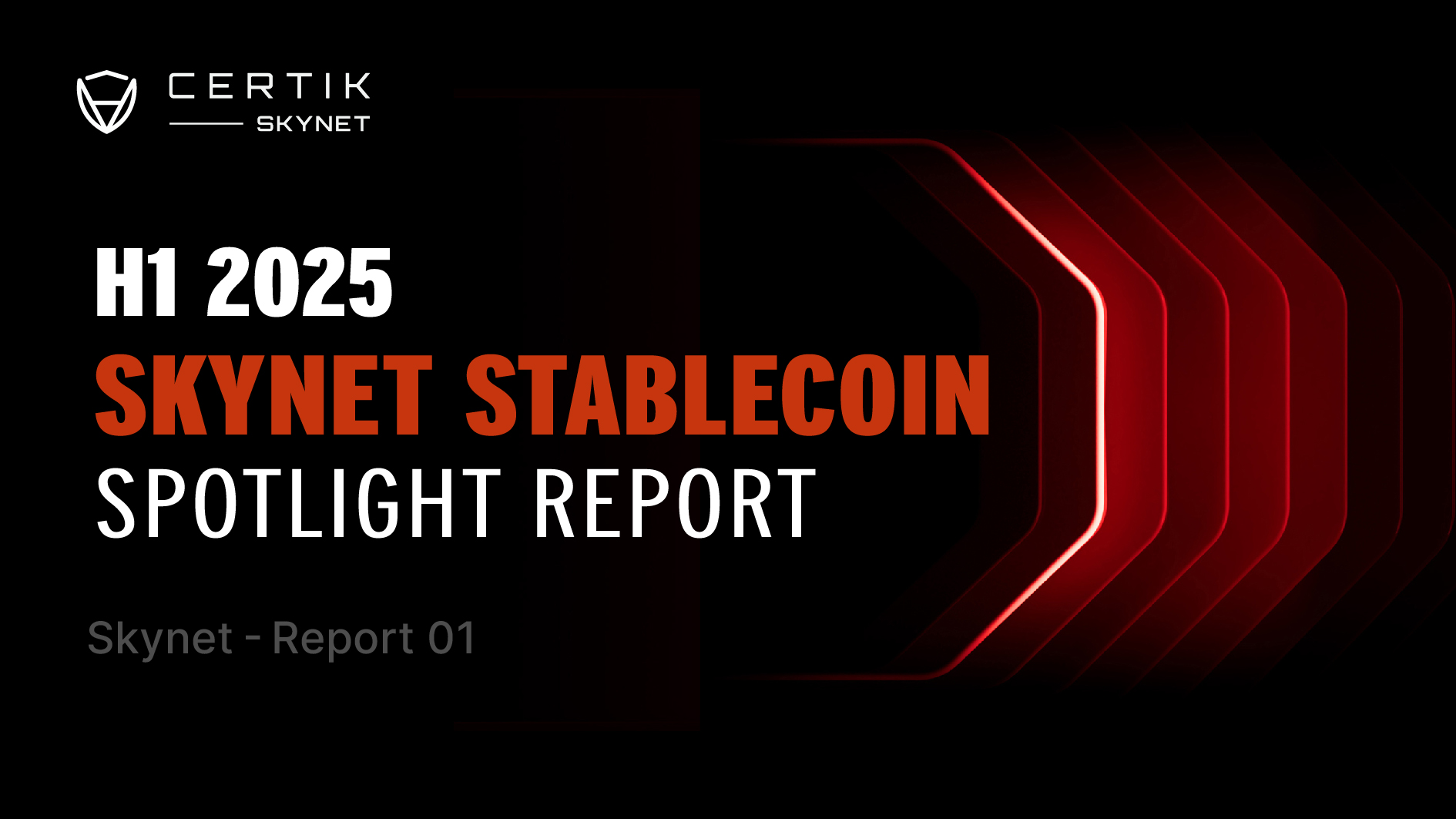 Skynet Stablecoin 1.jpg