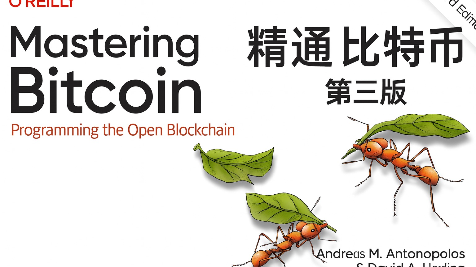 精通比特币 第三版