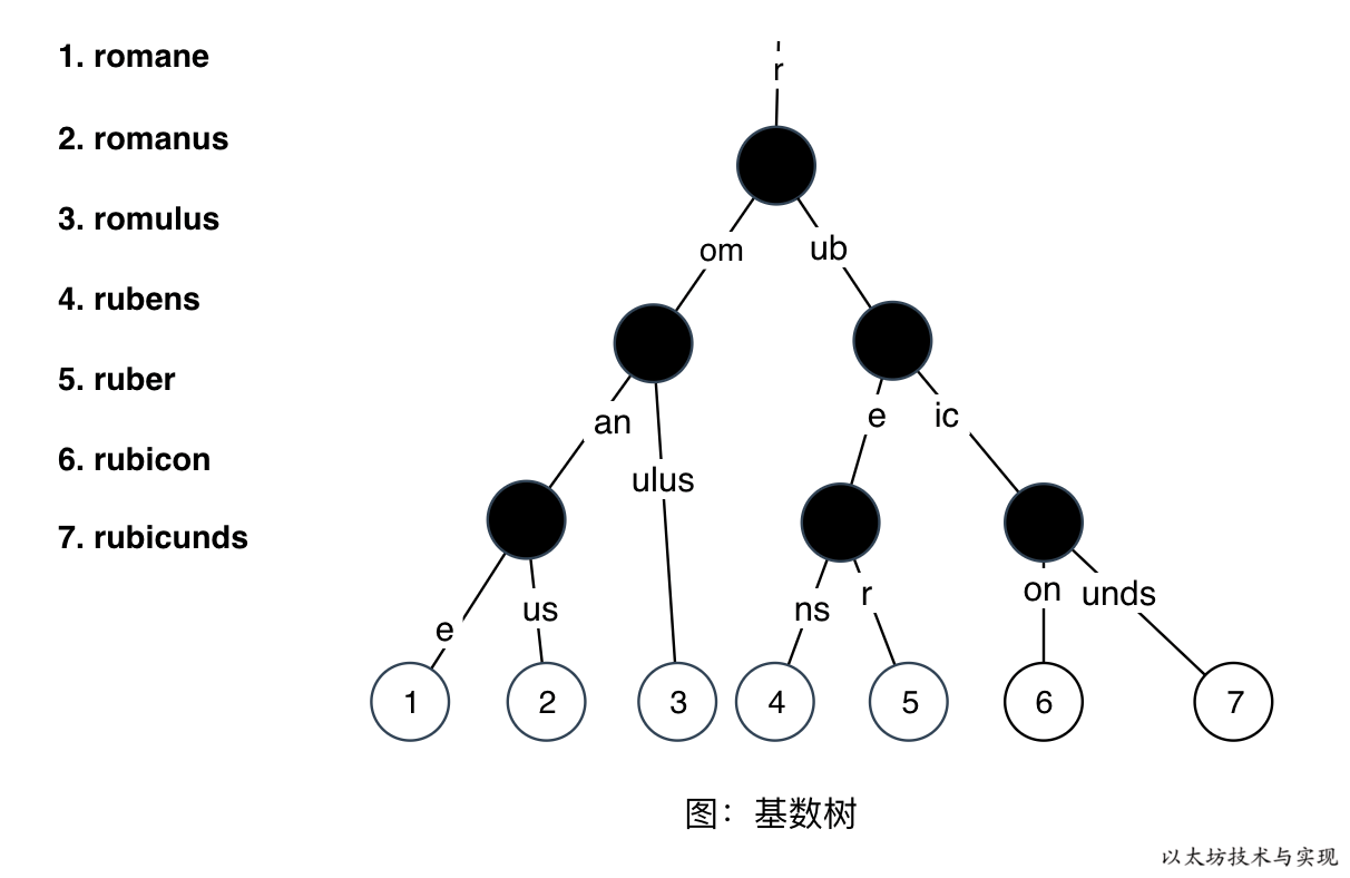 详解以太坊默克尔压缩前缀树-MPT插图4