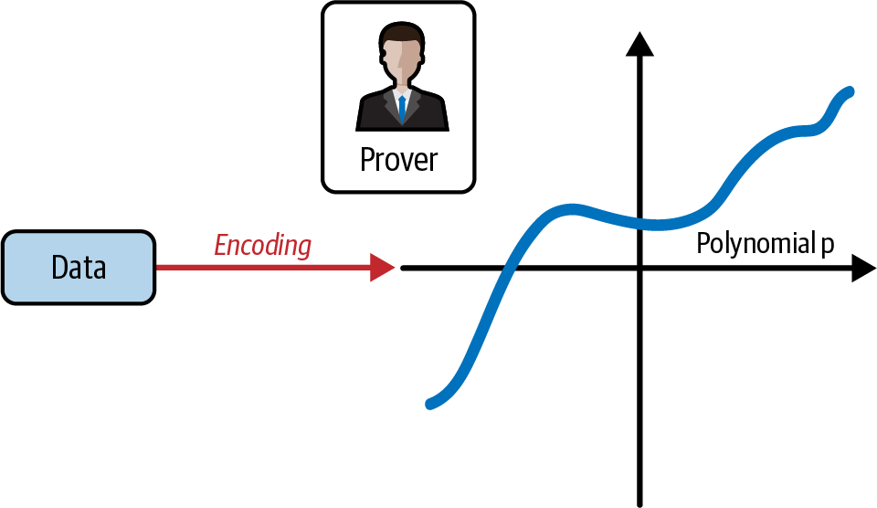 证明者将数据编码为多项式