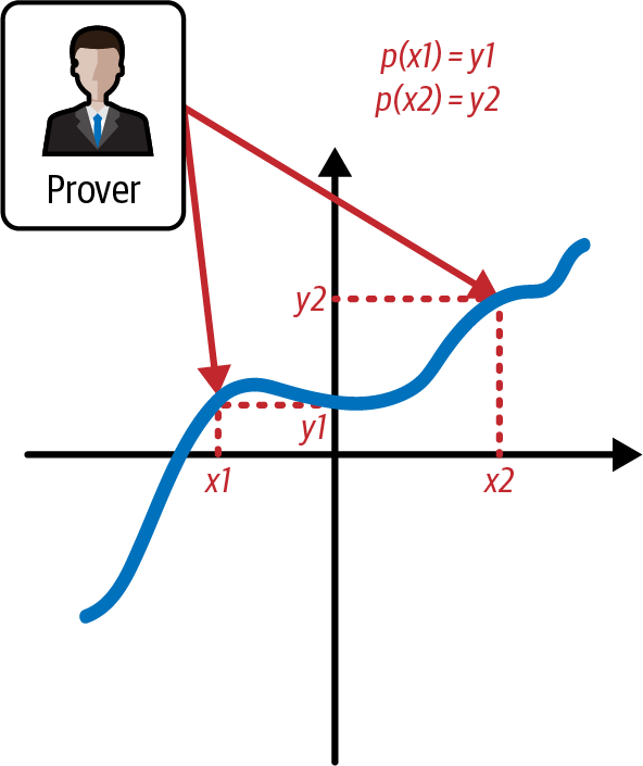 证明者想要证明特定的计算结果